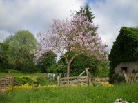 /album/fotos-tuinen/a006-jpg/