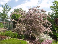 /album/fotos-tuinen/p1010044-jpg/