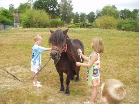 Rosalie de knuffel pony